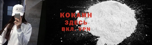 стаф Карпинск