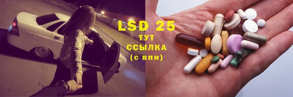 ГАЛЛЮЦИНОГЕННЫЕ ГРИБЫ Карталы