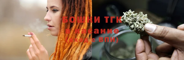 ГАЛЛЮЦИНОГЕННЫЕ ГРИБЫ Карталы