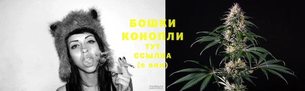 стаф Карпинск