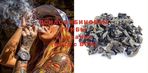 PSILOCYBIN Касимов