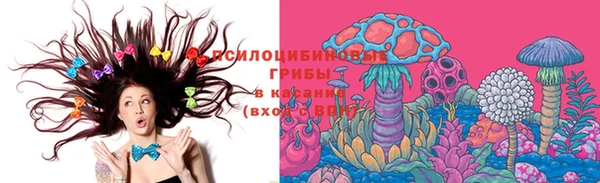 ГАЛЛЮЦИНОГЕННЫЕ ГРИБЫ Карталы