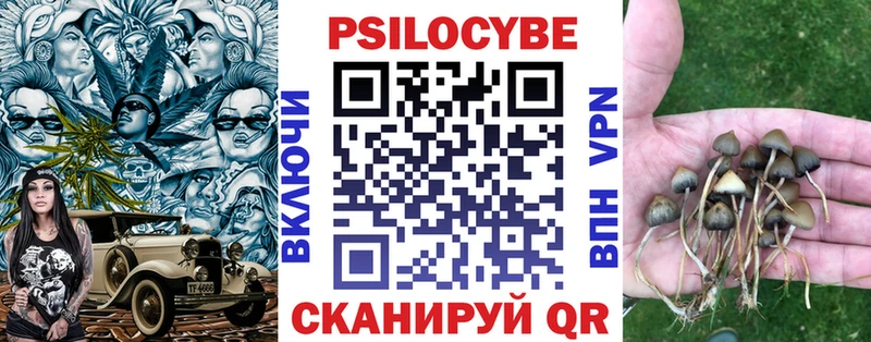 Галлюциногенные грибы мухоморы  Клин 
