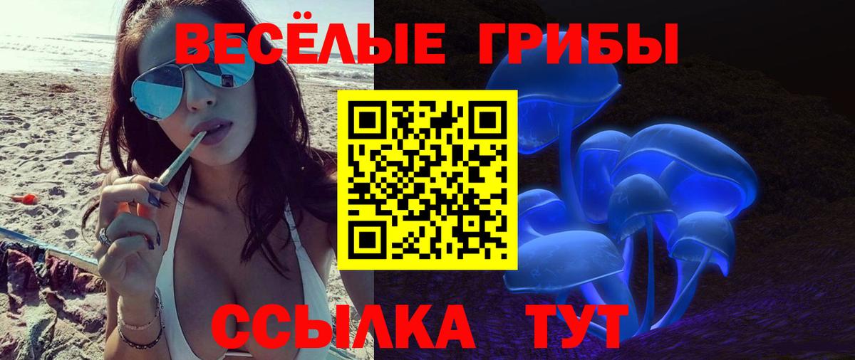 Галлюциногенные грибы Magic Shrooms  Вход с VPN  Клин  Галлюциногенные грибы прущие грибы 
