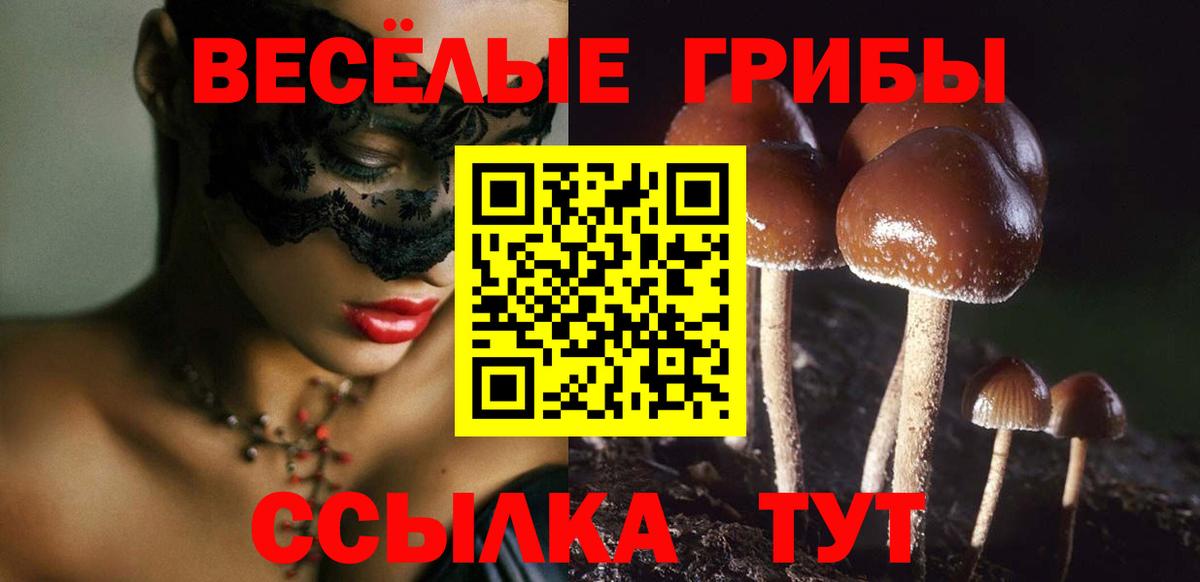 Галлюциногенные грибы мухоморы  Клин  Галлюциногенные грибы MAGIC MUSHROOMS 