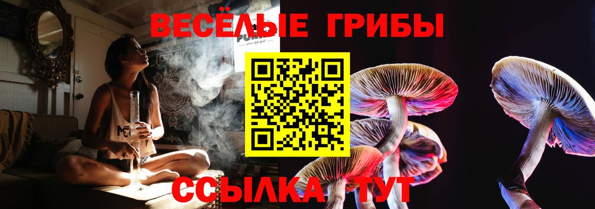 Псилоцибиновые грибы GOLDEN TEACHER Клин