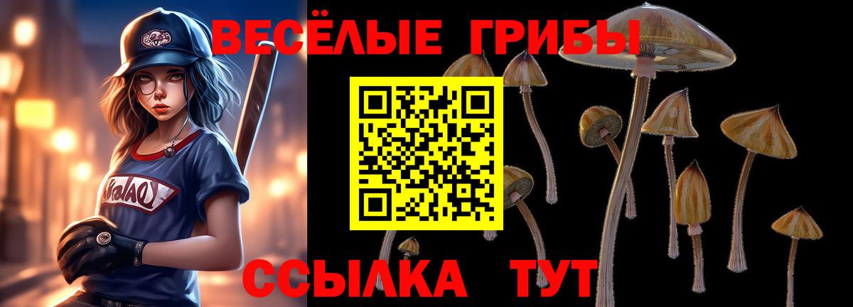 Галлюциногенные грибы Cubensis Клин
