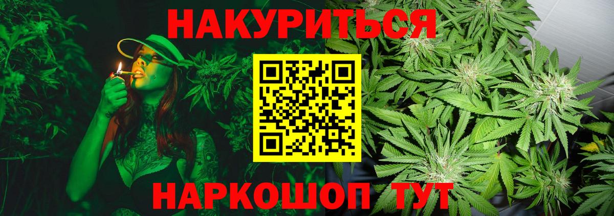 МАРИХУАНА сатива Клин